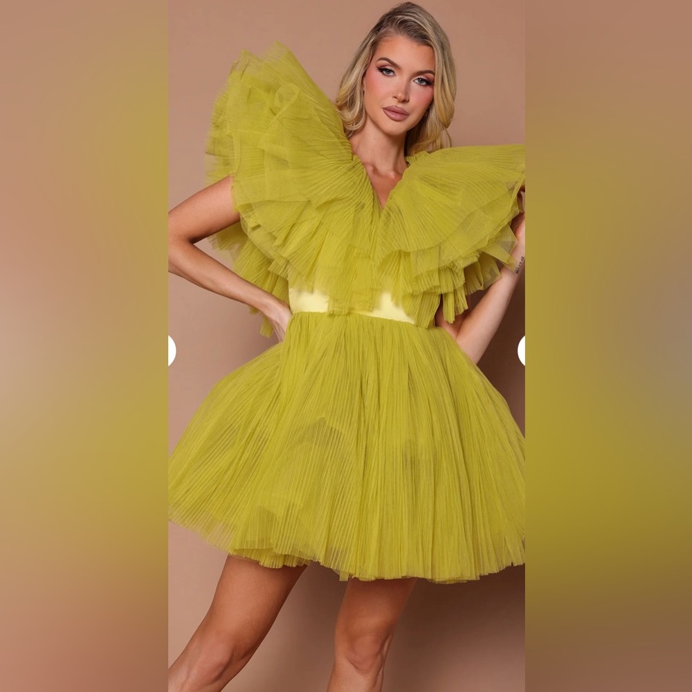 NWT- Must have tulle cocktail dress